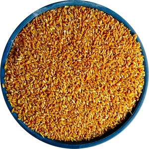 Bizim Yem Elenmiş Sert Buğday 1.sınıf - 10 kg ( Güvercin Horoz Tavuk Hindi)