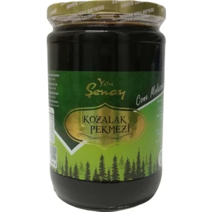 Çam Kozalağı Pekmezi 800 gr