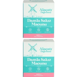 Alaçatı Değirmeni Damla Sakız Macunu 2 x 240 gr 2'li Set