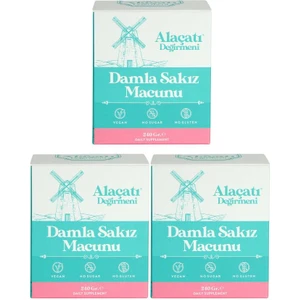 Alaçatı Değirmeni Damla Sakız Macunu 3 x 240 gr 3'lü Set
