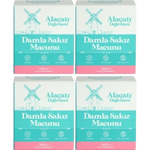 Alaçatı Değirmeni Damla Sakız Macunu 4 x 240 gr 4'lü Set