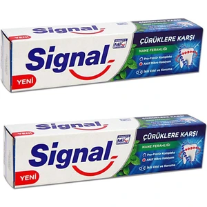 Çürüklere Karşı Nane Ferahlığı Diş Macunu Ikili Etki ve  100 ml x 2 Adet