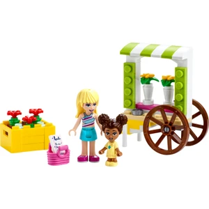 30413  Friends Çiçek Arabası Polybag