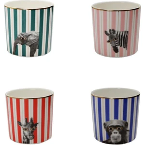 Wild Life 230 cc Bardak Seti