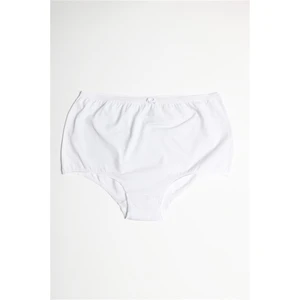 Kadın Büyük Beden Külot 3'lü Set 8807 Beyaz