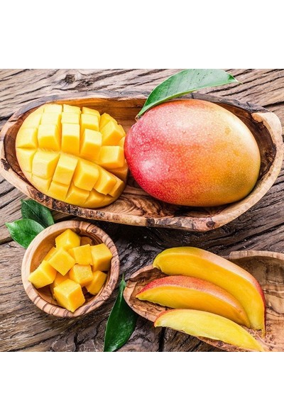 Tohum Bul Tüplü Yoğun Aromalı Aşılı Mango Fidanı
