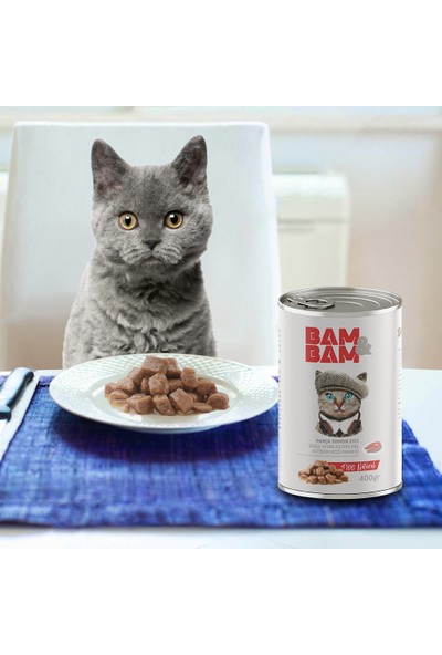 Bam&Bam Somonlu Kısırlaştırılmış Yetişkin Kedi Konservesi 400 gr