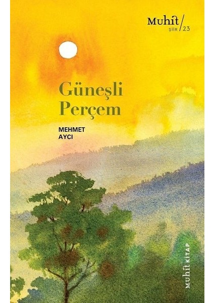 Güneşli Perçem - Mehmet Aycı