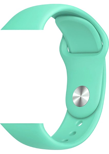 Apple Watch Uyumlu 42MM Zore Klasik Kordon