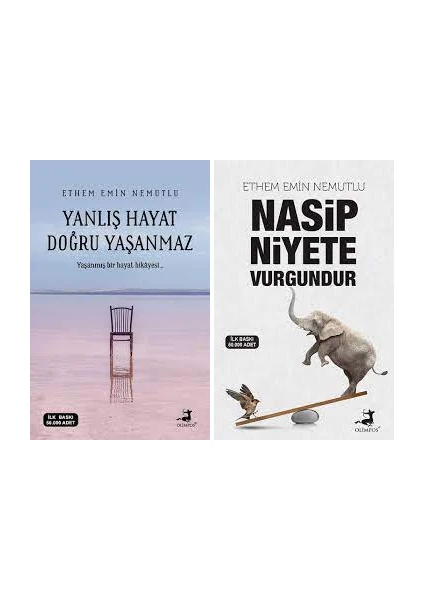 Yanlış Hayat Doğru Yaşanmaz - Nasip Niyete Vurgundur - Ethem Emin Ne Mutlu