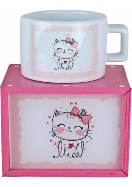 Kedi Masa Lambası Puf Yastık Kedi Kutulu Kupa