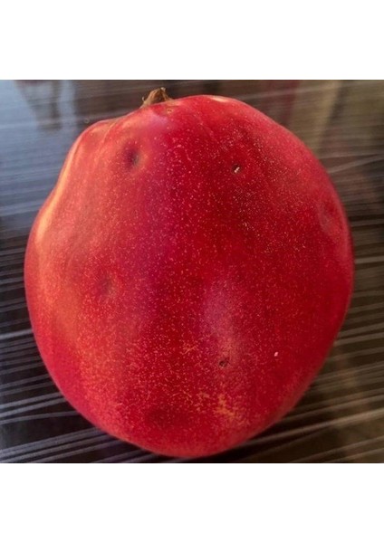 Tüplü Aşılı Verimli Tam Bodur Elma Aromalı Vahapbey Ayva Fidanı