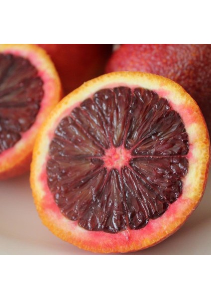 Içi Dışı Kırmızı Blood Orange Portakal Fidanı (Sınırlı Stok)