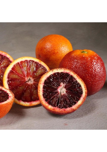 Içi Dışı Kırmızı Blood Orange Portakal Fidanı (Sınırlı Stok) fiyatları