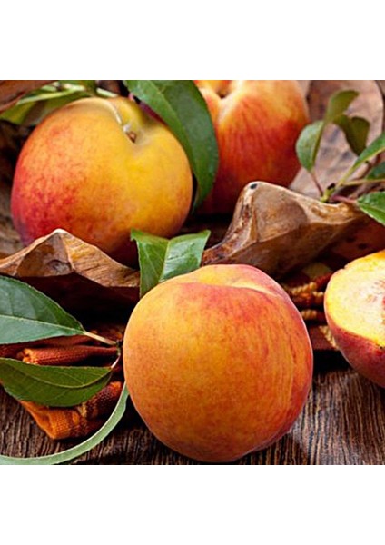 Tüplü Aşılı Verimli Orta Erkenci Geleneksel Anadolu Şentürk Şeftali Fidanı