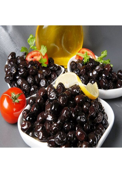 Tüplü Salamuralık Gemlik Trilye Zeytin Fidanı