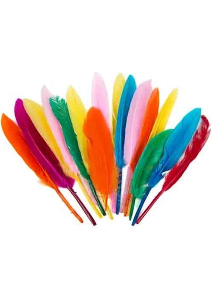 Renkli Kaz Tüyü - 15 Adet