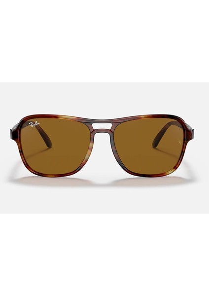 RB4356 954/33 58 Unisex Güneş Gözlüğü