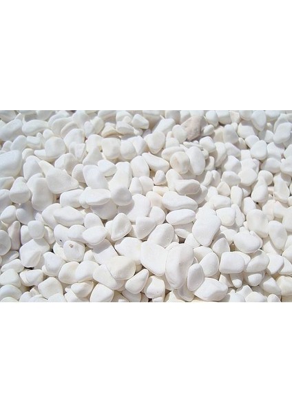Dolomit Taşı 1 kg