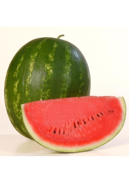 Watermelon Karpuz Fidesi (5 Fide)