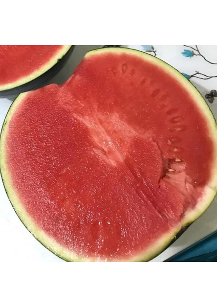 Nostalji Siyah Karpuz Fidesi (5 Adet)