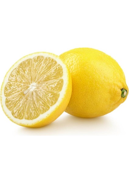 Tüplü Tatlı Limon Şeker Limon Fidanı
