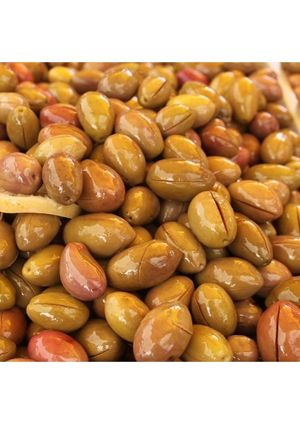 Koroneiki Bodur Zeytin Fidanı (Meyve Verme Durumunda)