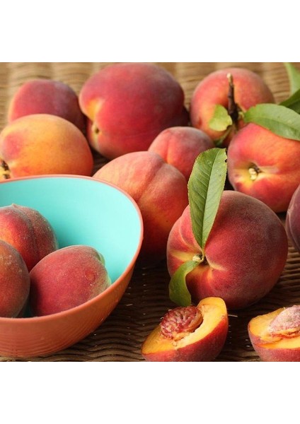 Tüplü Yarı Bodur Erkenci Sugar Kardelen Şeftali Fidanı