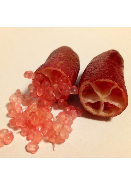 Tüplü Havyar Limon Mia Rose Pembe Finger Lime Fidanı