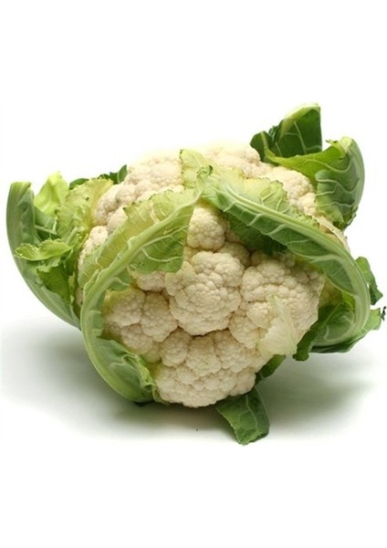 Beyazım Karnabahar Fidesi (5 Adet)