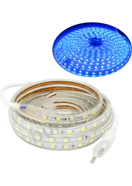 3 Metre 220 Volt Esnek Hortum Şerit LED Işık Aydınlatma Tak Çalıştır Mavi Işık