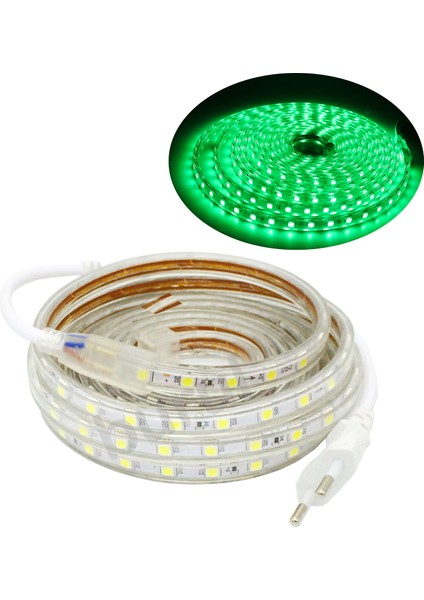 5 Metre 220 Volt Esnek Hortum Şerit LED Işık Aydınlatma Tak Çalıştır Yeşil Işık