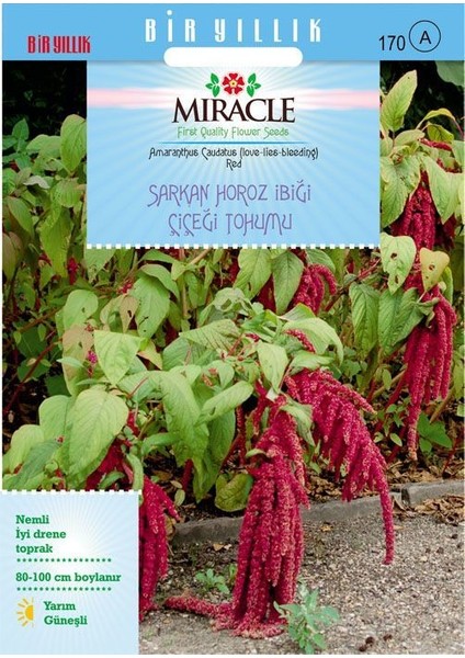 Miracle Sarkan Kırmızı Amaranthus(Horoz Ibiği) Çiçeği Tohumu( 1500TOHUM)