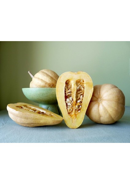 Doğal Thelma Saunders Kışlık Balkabağı Tohumu(5 Tohum)