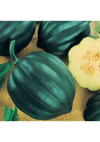 Doğal Table King Acorn Kışlık Balkabağı Tohumu(10 Tohum)