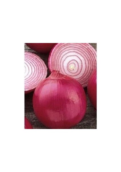 Doğal Red Grano Soğan Tohumu(50 Tohum)