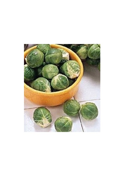 Doğal Long Island Improvedbrüksel Lahanası Tohumu(50 Tohum)