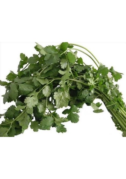 Doğal Aşotu Tohumu(50 Tohum)