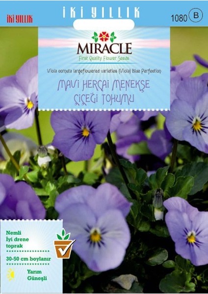 Miracle Blue Perfection Mavi Hercai Menekşe Çiçeği Tohumu (150 Tohum)