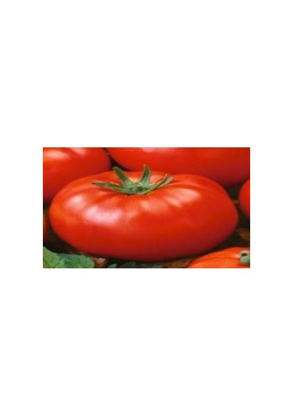Doğal Beefsteak Domates Tohumu(20 Adet)