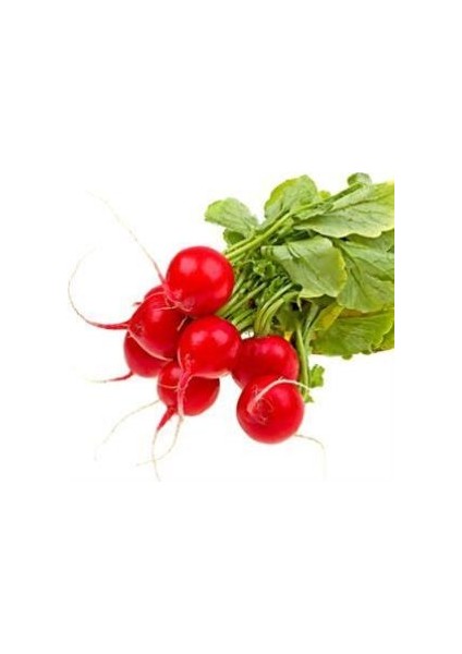 Doğal Big Red Turp Tohumu(25 Tohum)