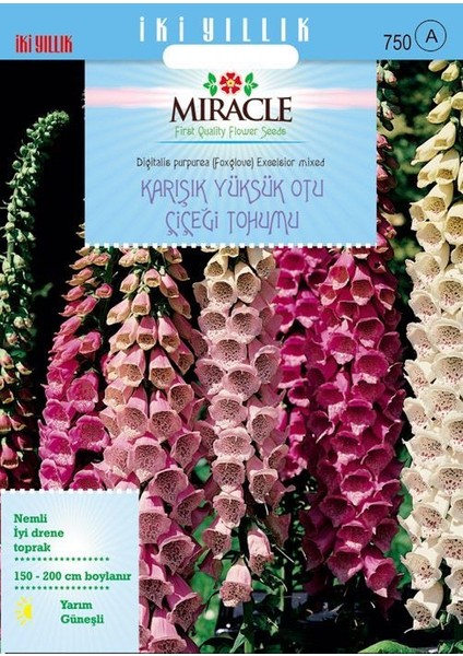 Miracle Excelsior Mixed Karışık Renkli Yüksükotu Çiçeği Tohumu (700 Tohum)