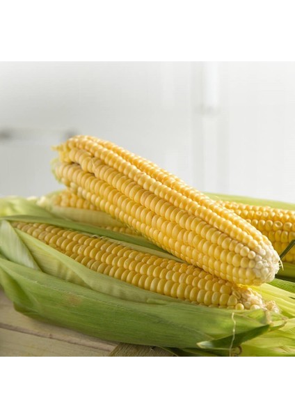 Tatlı Süt Mısır Tohumu (25 Gram)