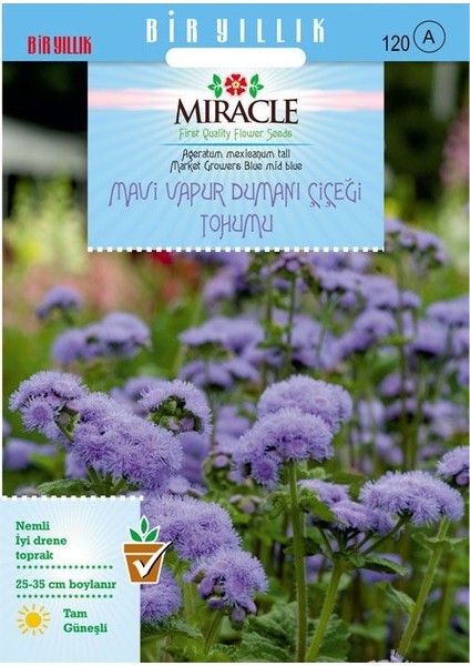 Miracle Ageratum Mexicanum Mavi Vapur Dumanı Çiçeği Tohumu (1000 Tohum)