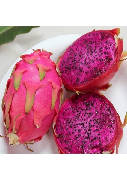 Doğal Içi Kırmızı Ejder Meyvesi(Pitaya) Tohumu 5 Adet