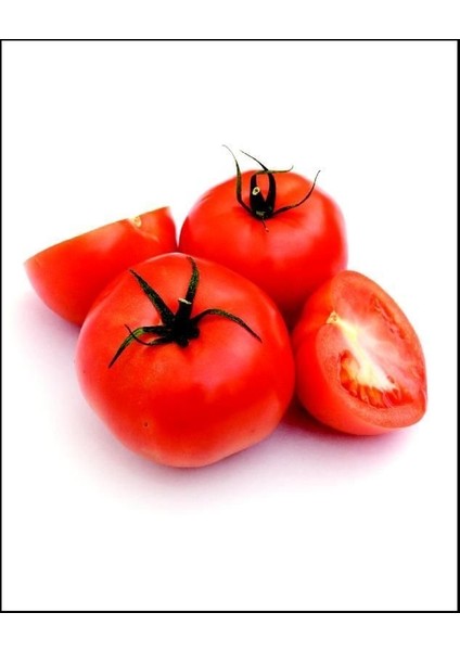 Doğal Invuctus Domates Tohumu(20 Tohum)