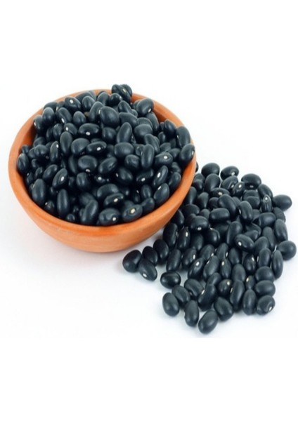 Doğal Black Turtle Siyah Fasulye Tohumu(10 Tohum)