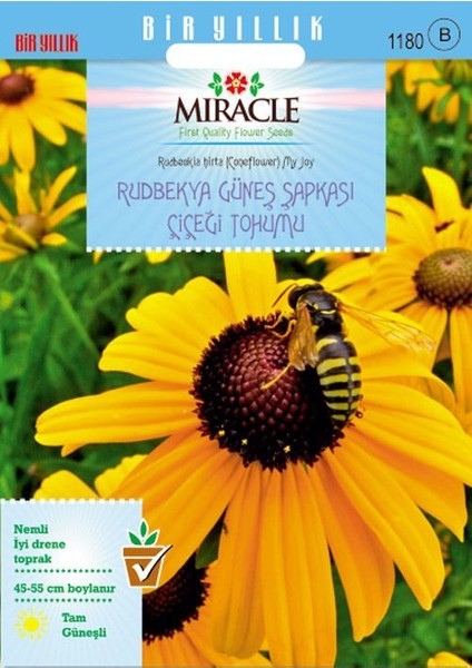 Miracle Hirto My Joy Rudbekya (Güneş Şapkası) Çiçeği Tohumu (900 Tohum)