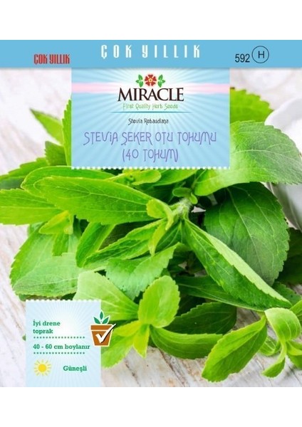 Doğal Stevia Şeker Otu Tohumu (40 Tohum)