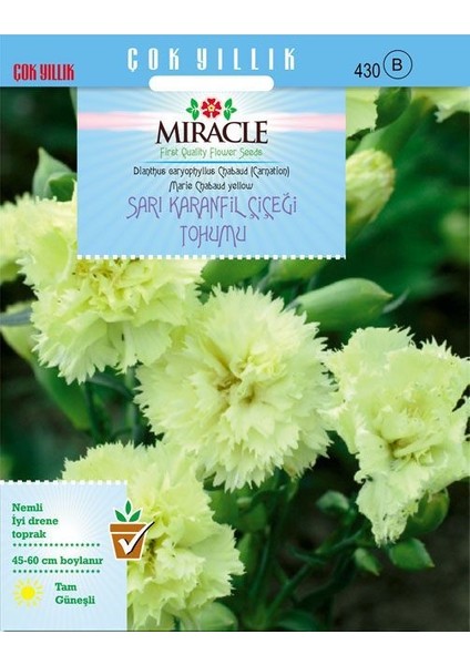Miracle Marie Chabaud Sarı Karanfil Çiçeği Tohumu (190 Tohum)